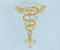 Logo centre de Bio médecine alternative