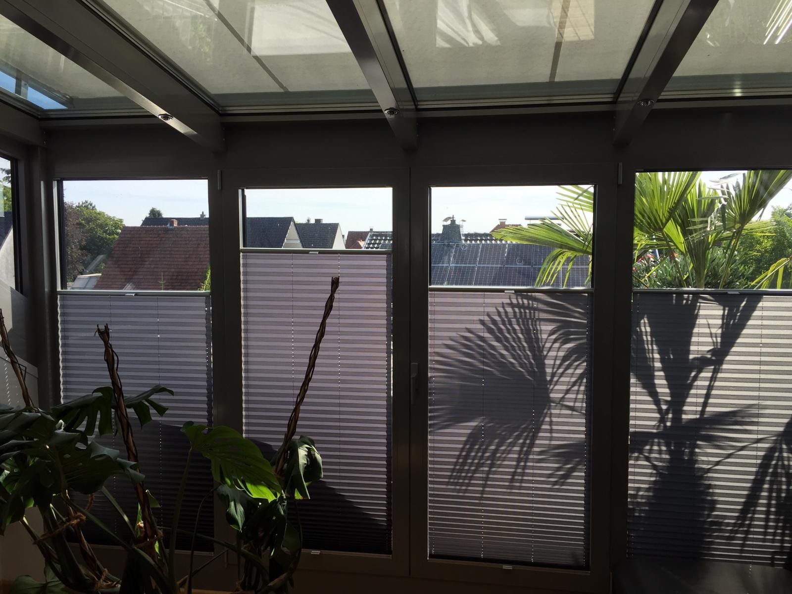 Ein Raum mit vielen Fenstern und einer Pflanze in der Mitte