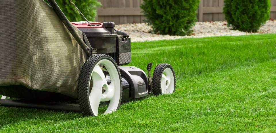 Rasenmähen