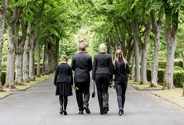 Un grupo de personas camina por un sendero bordeado de árboles.