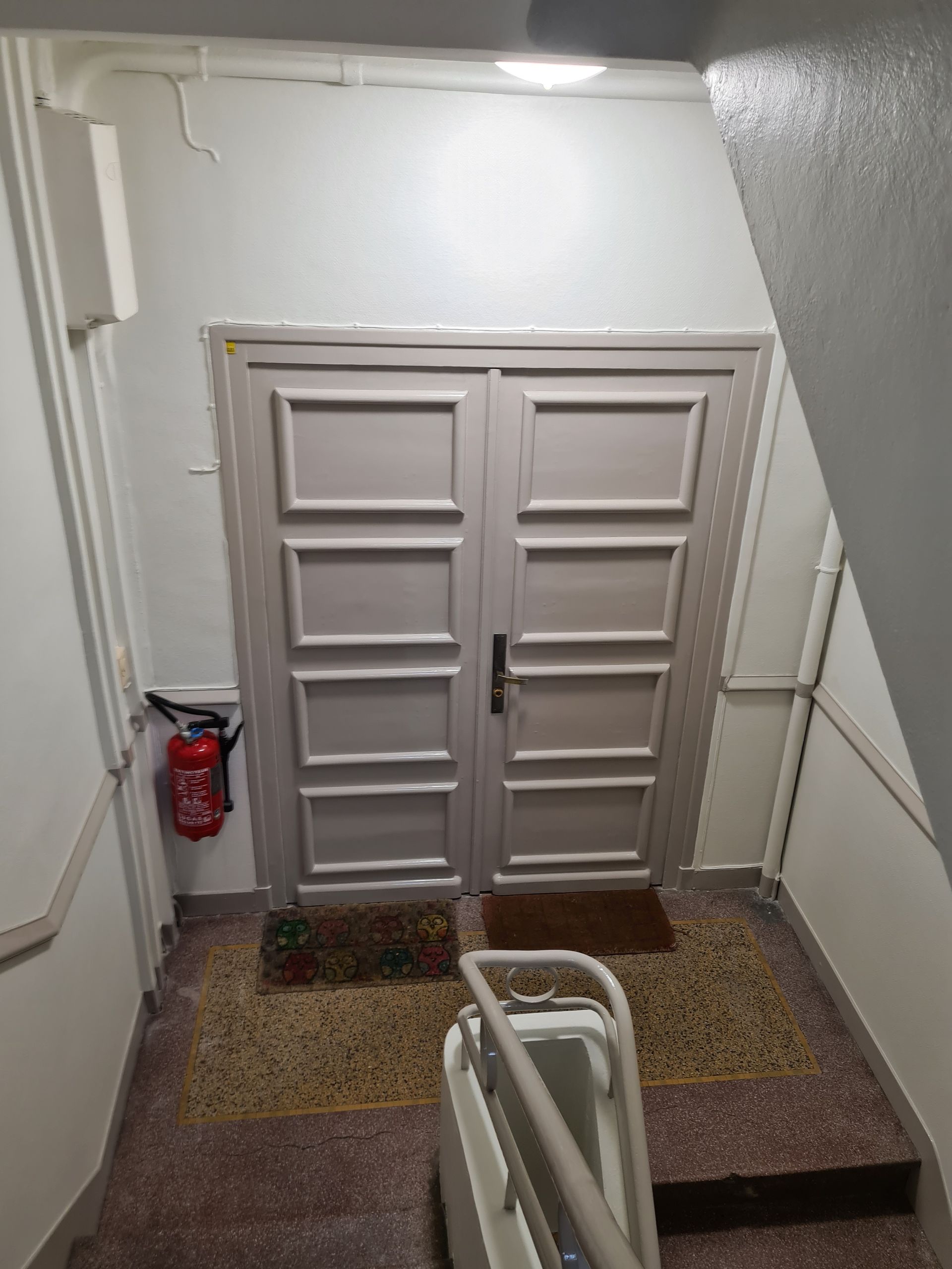 Double porte au bout d'un escalier. Un extincteur est accroché au mur de gauche, un paillasson à l'entrée.