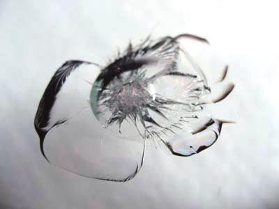 Frontscheibe Kleeblatt