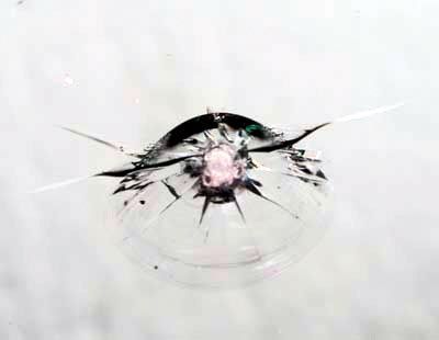 Frontscheibe Kombibruch