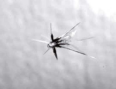 Frontscheibe Sternbruch