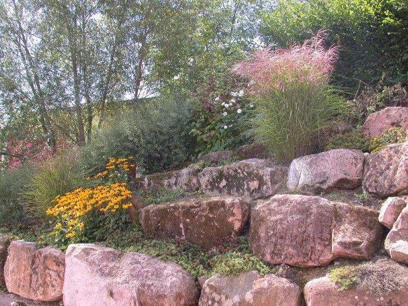 Abgestimmtes Pflanzkonzept mit Stauden, Gräsern und Blühsträuchern