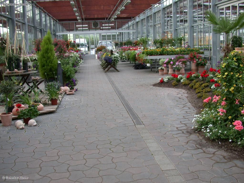 Ausstellungsraum mit vielen verschiedenen Pflanzen bei Gärtnerei Förster