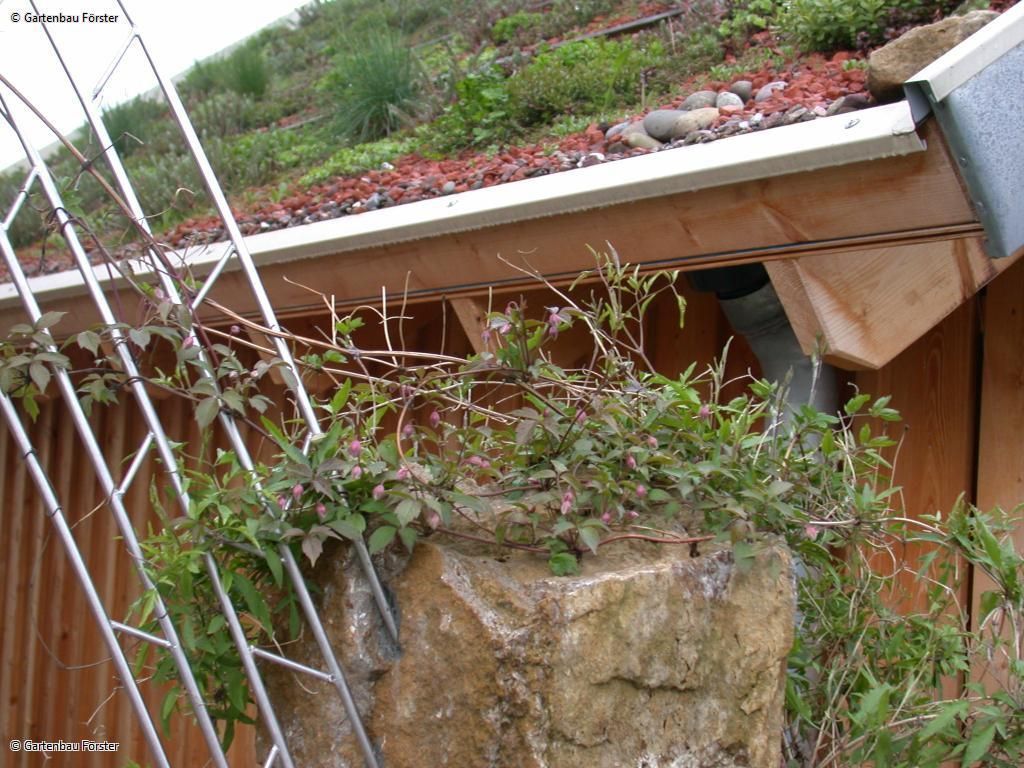 bepflanzte Dachfläche