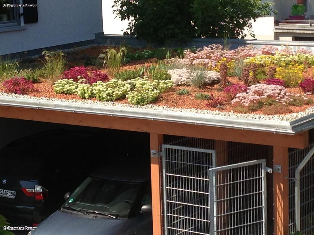 bunt begrüntes Dach