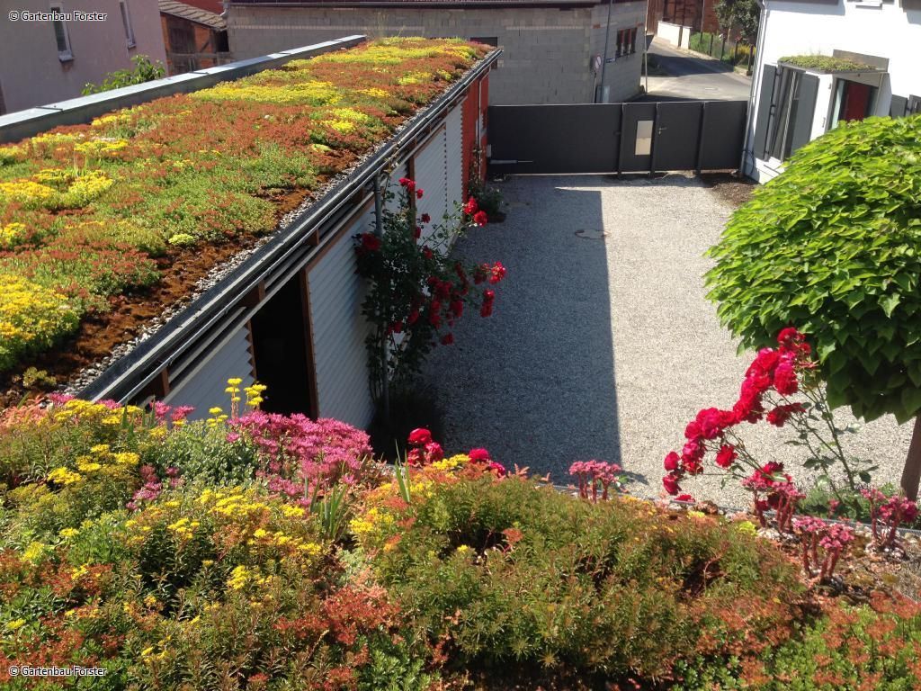 Dach mit Grünfläche