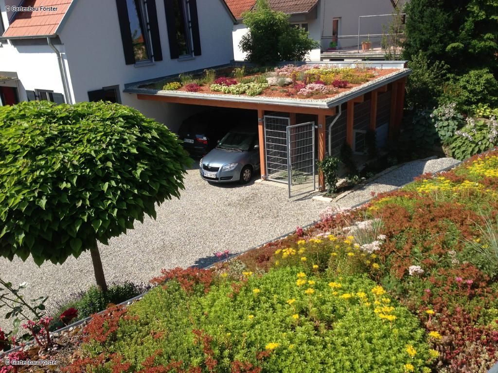 Blick auf zwei begrünte Dächer