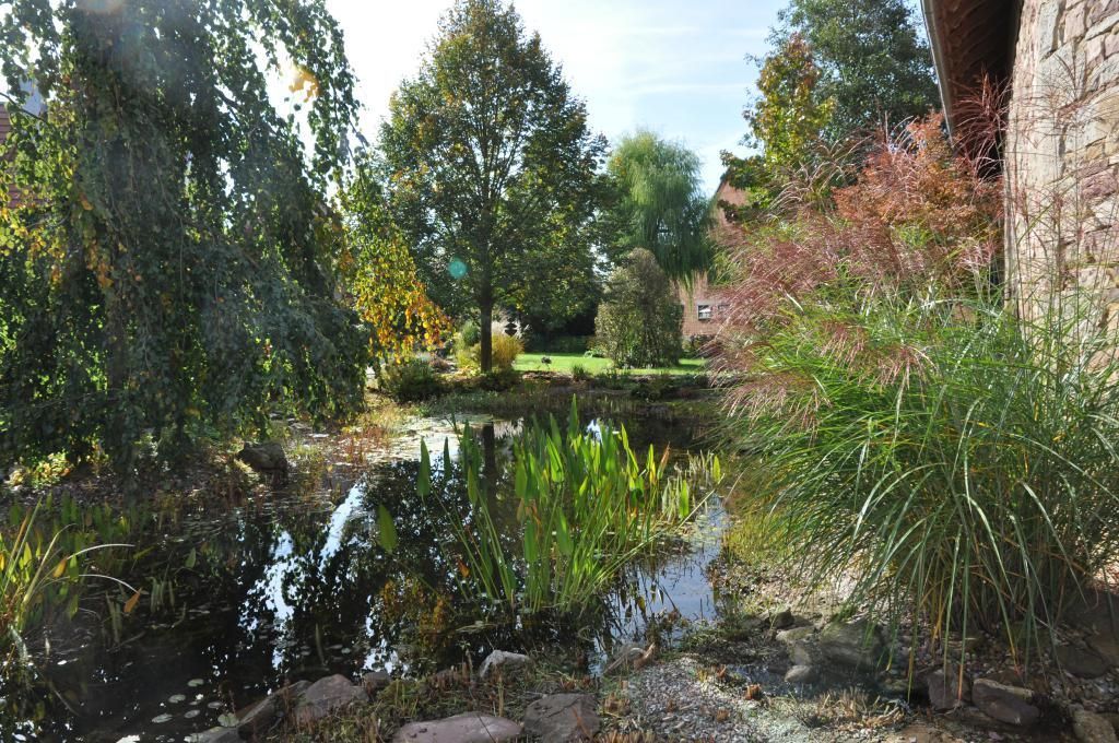 Blick in einen Garten mit Wasserfläche