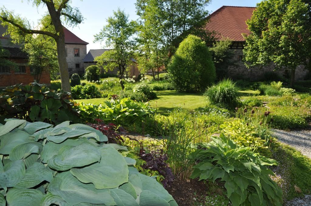 Teichrandbepflanzung und kleiner Steg in einem Garten