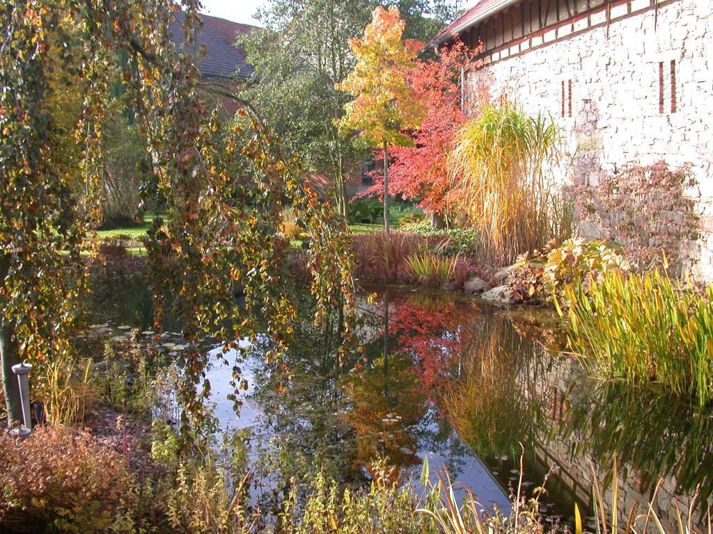 Teich und bepflanzter Garten im Herbst