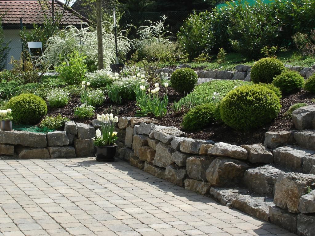 Steinmauer mit Buchsbäumen dahinter in einem Garten