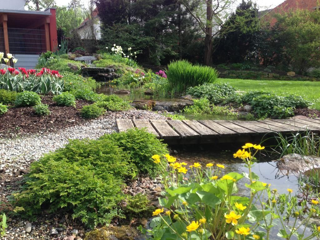 Gartenanlage mit Naturteich und harmonischer Bepflanzung