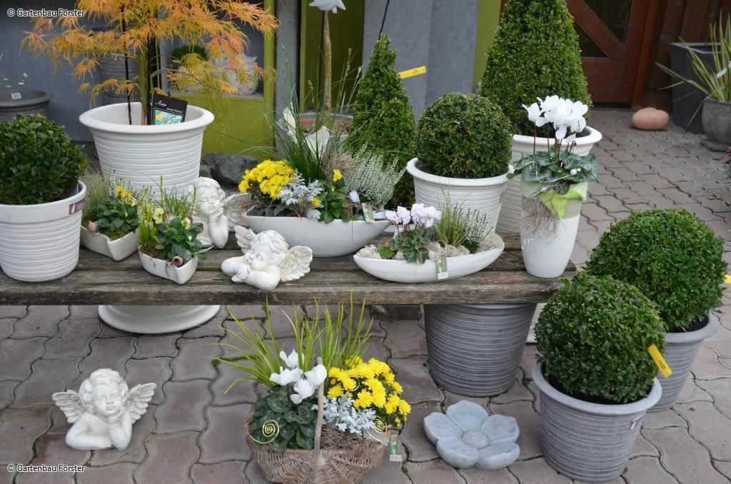 Dekoengel zwischen Topfpflanzen