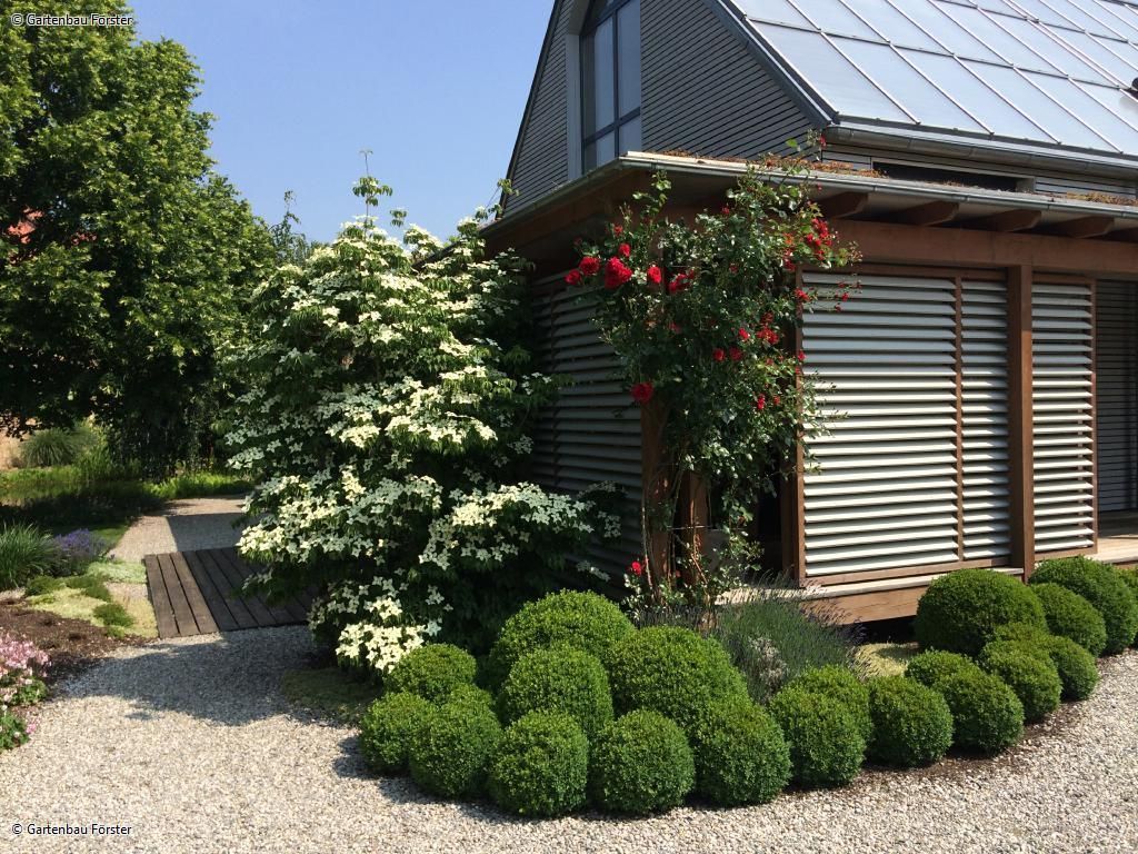 Kugeln aus Buchs vor einem Haus