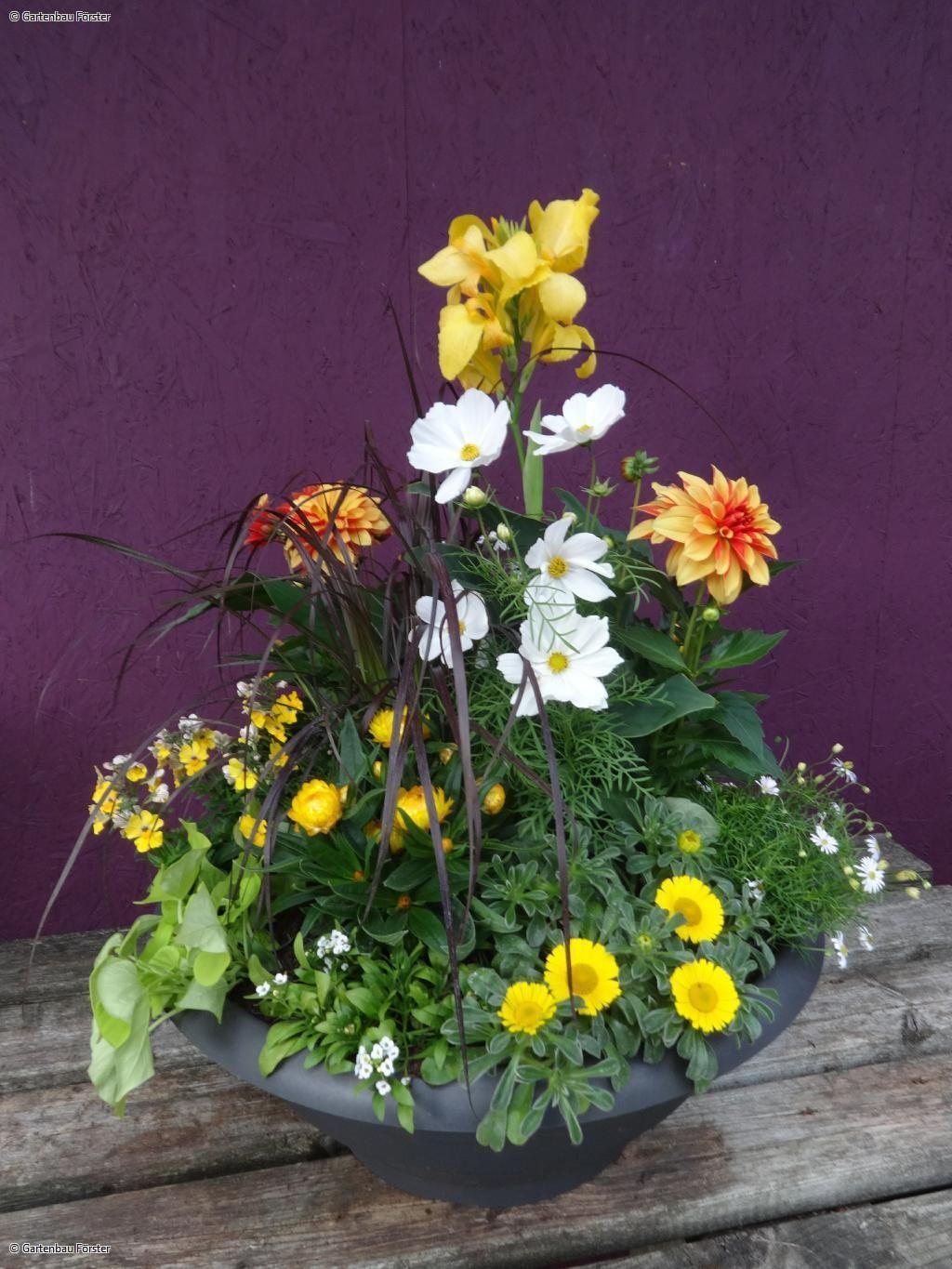 Pflanzschale mit Blumen in Gelbtönen