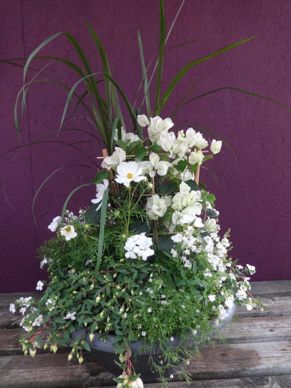 Blühpflanzen in Gelb- und Weißtönen