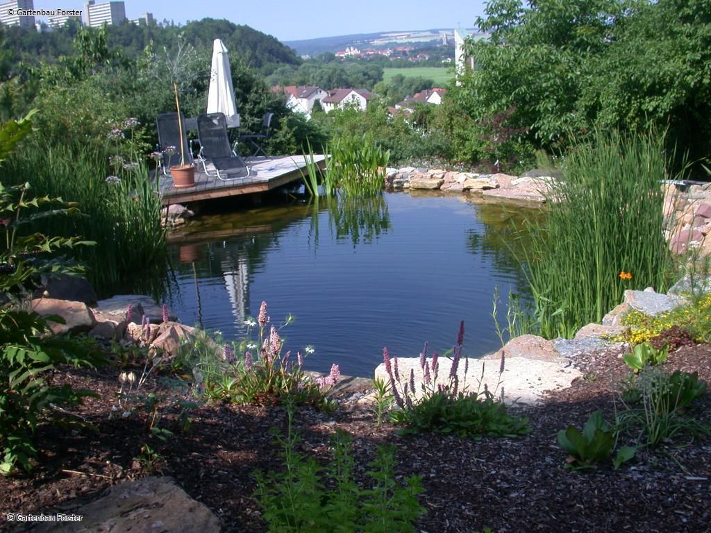Schwimmteich mit breitem Steg