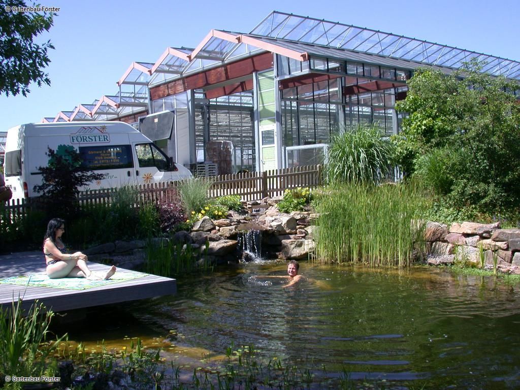 Teich mit breitem Steg zum Schwimmen geeignet