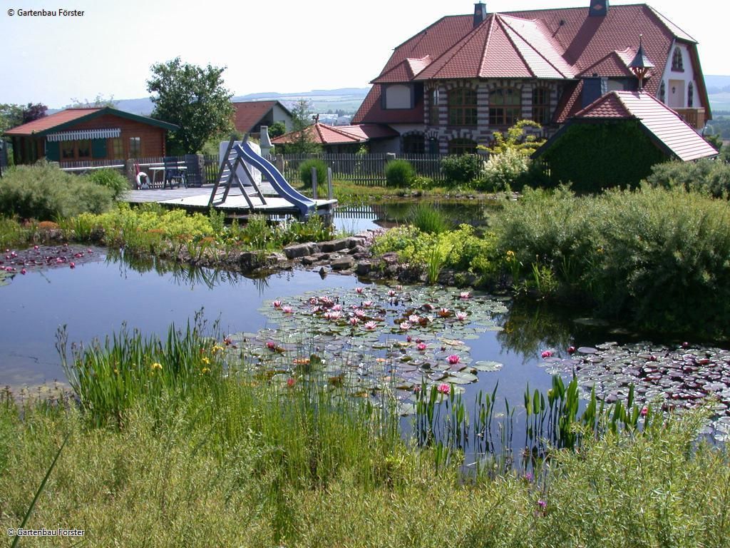 großer Teich mit Teichrosen und Rutsche