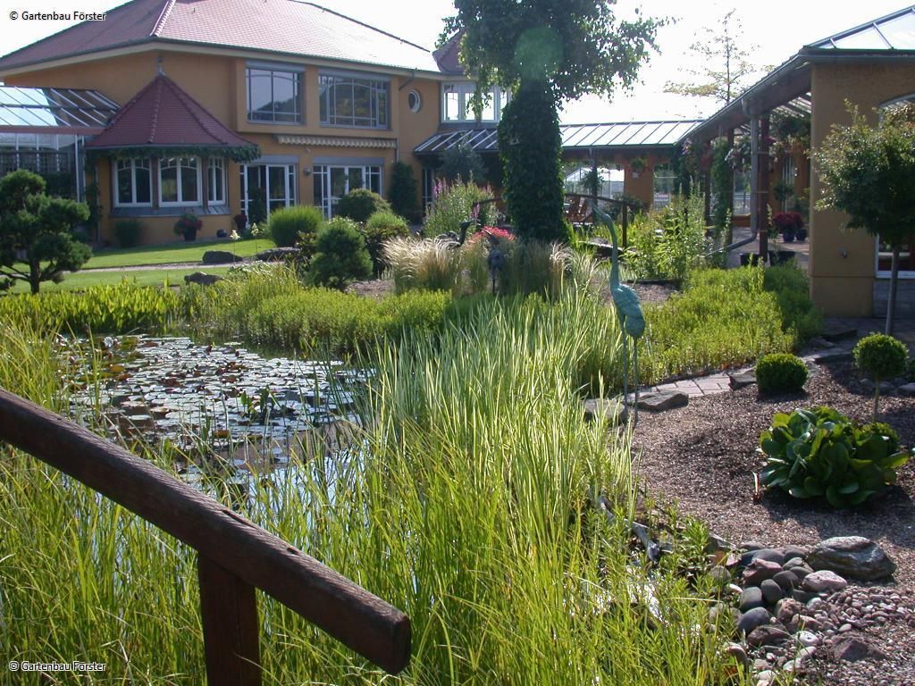 Blick auf einen Teich mit Brücke