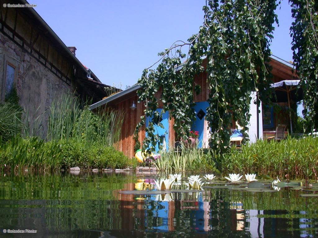 Teich und Holzhaus