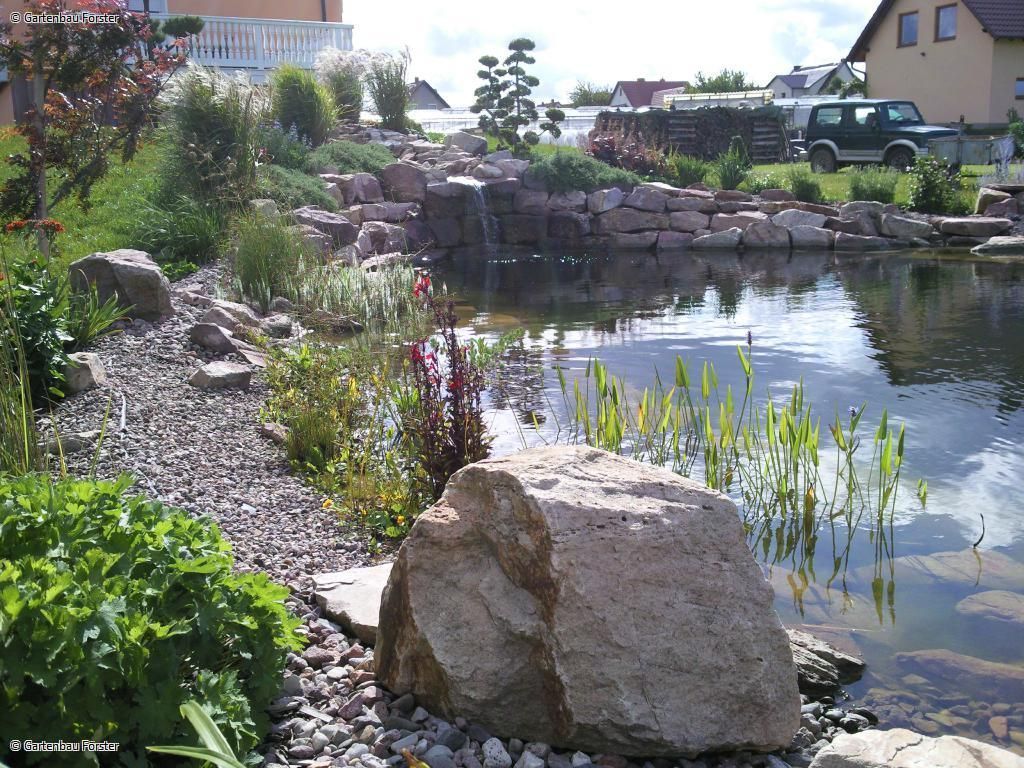 großer Teich mit Steinen und viel Begrünung