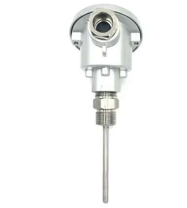 Termopar tipo J para autoclaves con cabeza DIN-B y rosca 1/2