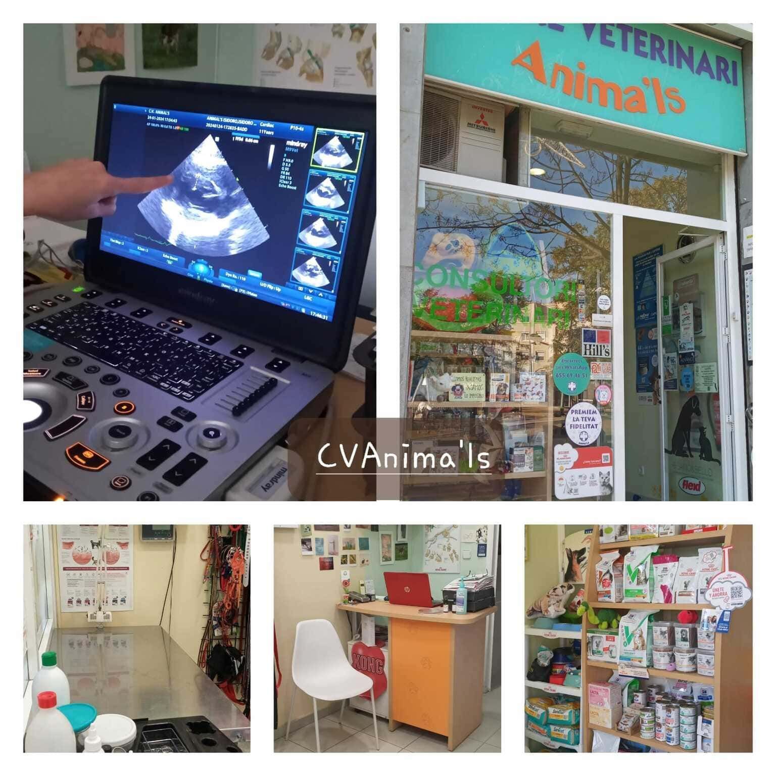 Un collage de fotos de una clínica veterinaria.