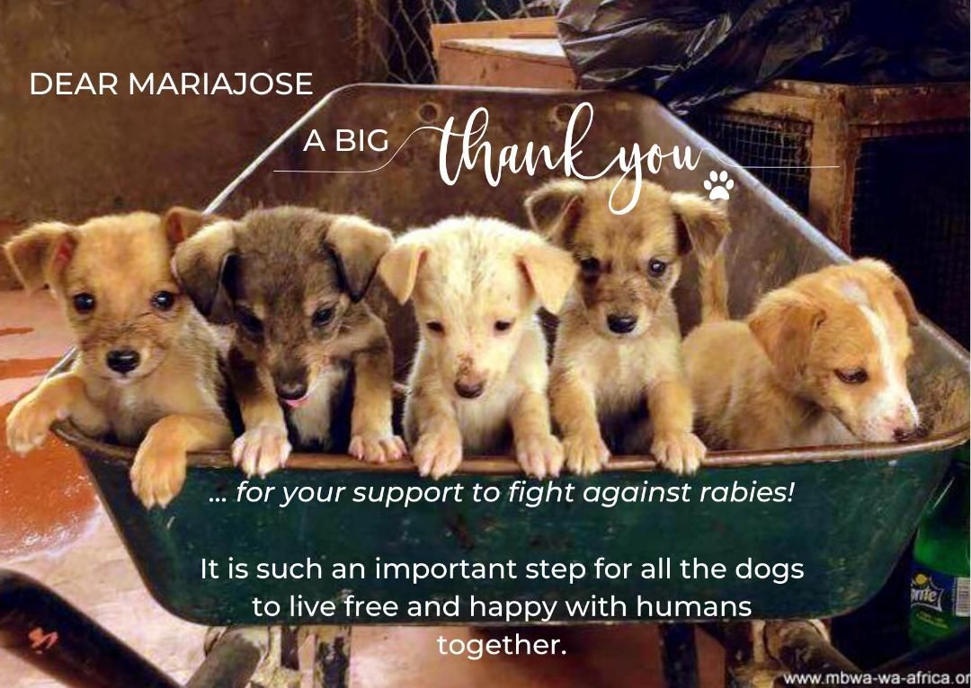 Cinco cachorros están sentados dentro de una carretilla verde. El texto agradece a MariaJose su apoyo en la lucha contra la rabia.