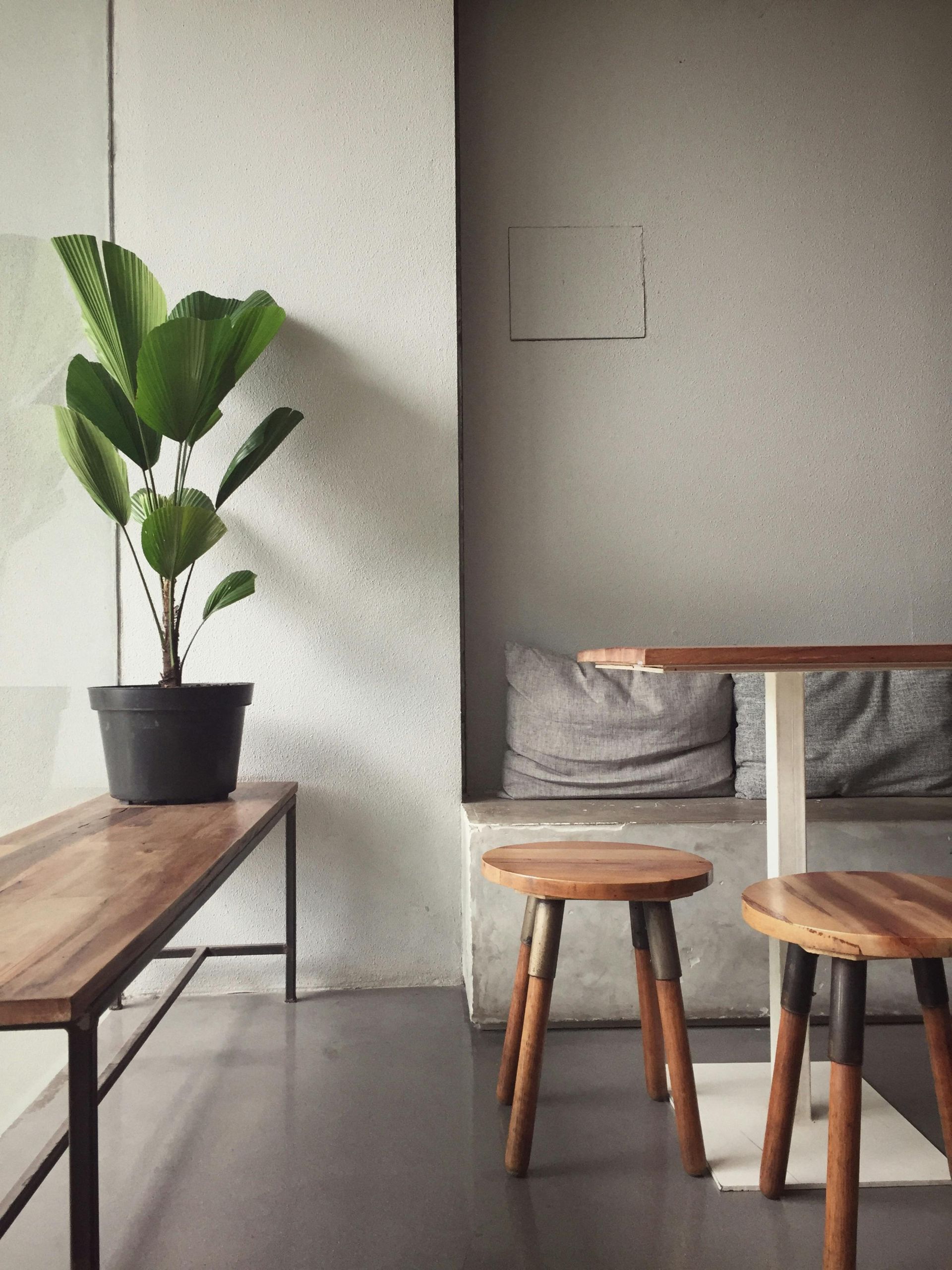 Una habitación con una mesa y taburetes y una planta en maceta.