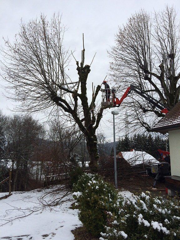 Paysages & Jardins Morel - horticulture et agriculture