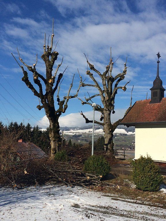 Paysages & Jardins Morel - rampes d'arrosage, buses, arroseurs à secteur