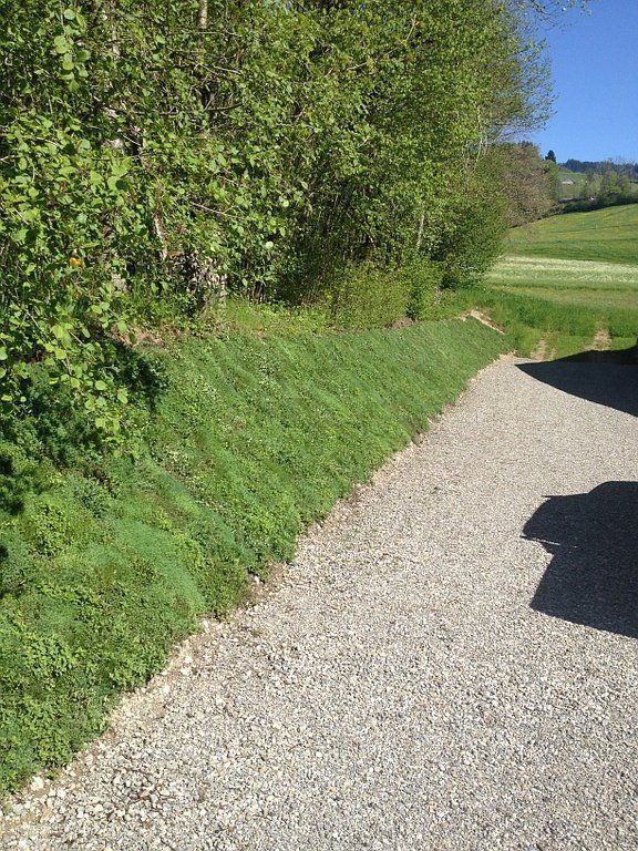 Paysages & Jardins Morel - Paysagiste