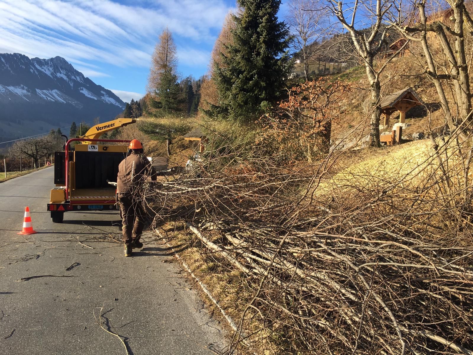 Broyage de branches sur place
