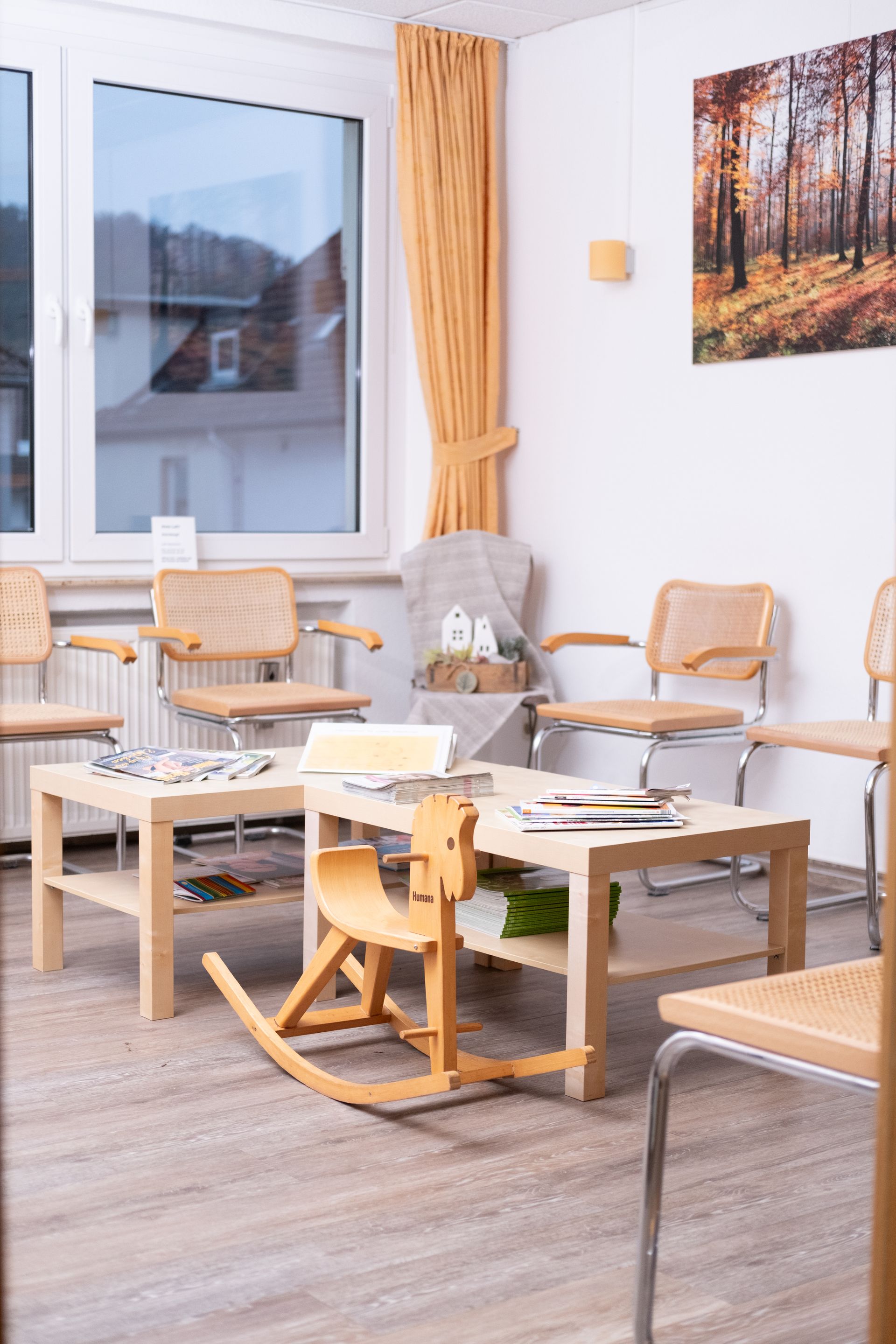 Mohnblume und Schleierkraut