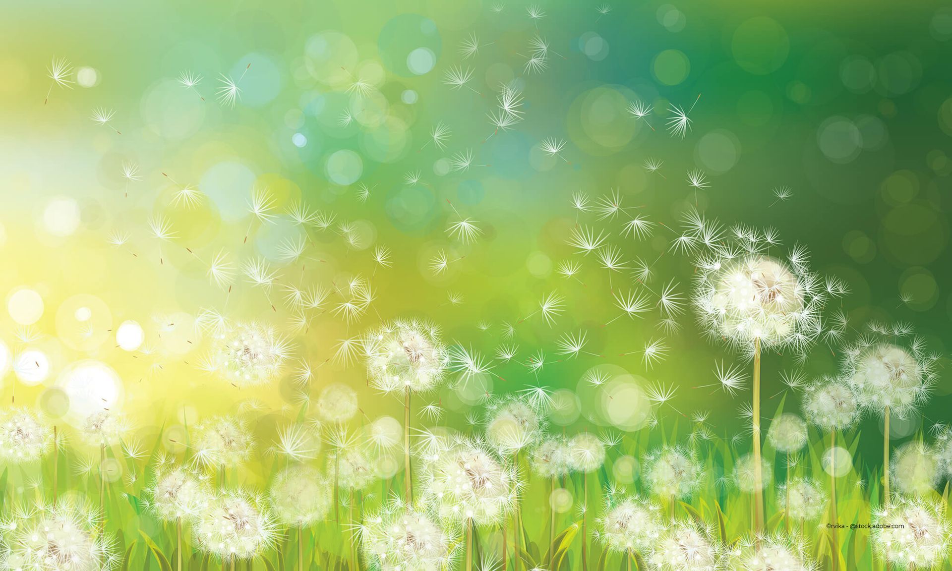 Pusteblume