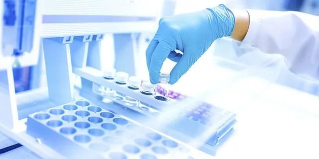 Una persona que lleva guantes azules sostiene un tubo de ensayo en un laboratorio.