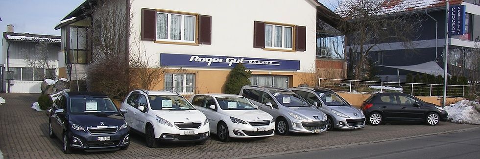 Garage Roger Gut - Berikon
