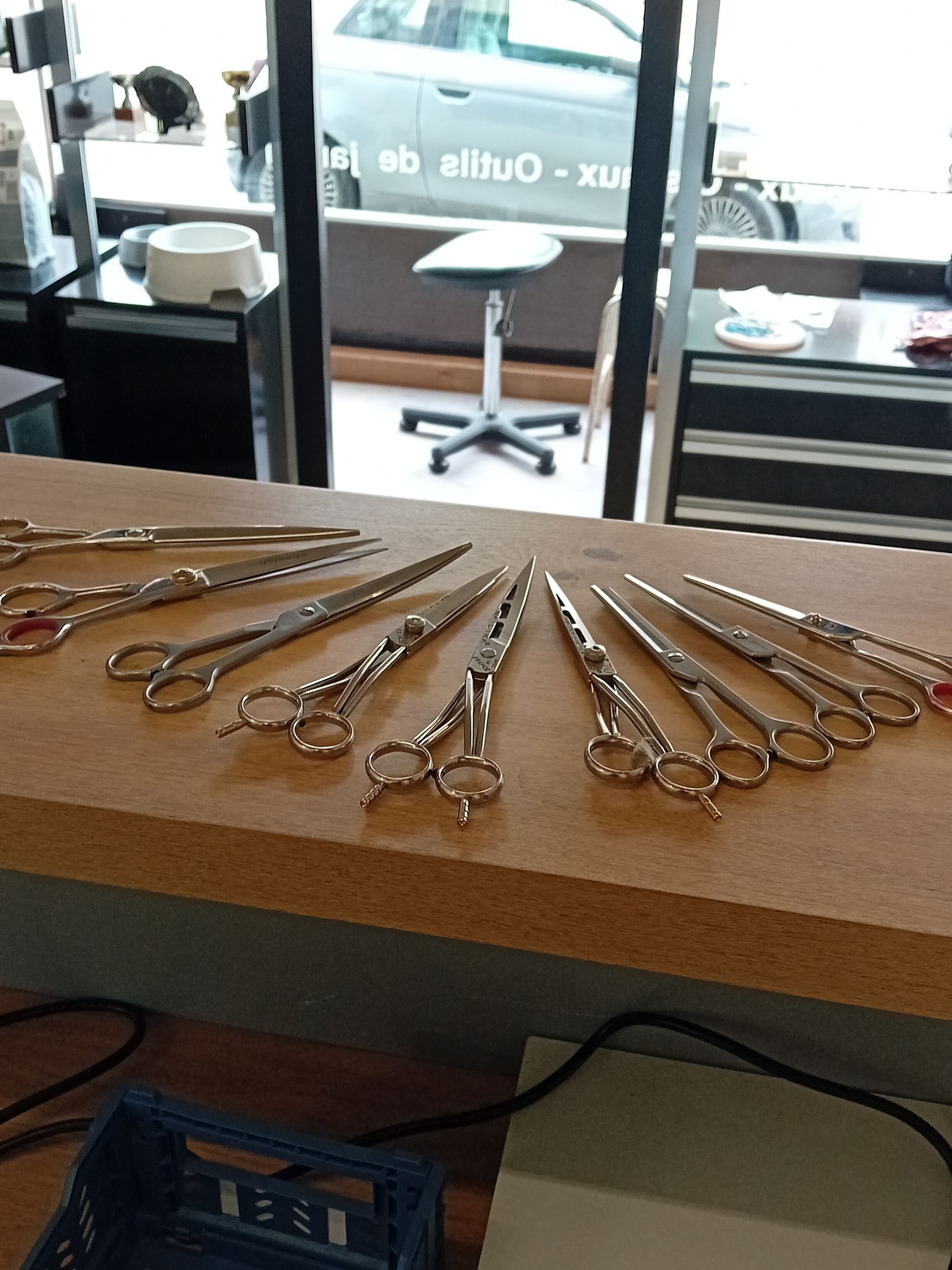 Des ciseaux exposées sur un comptoir dans la vitrine d'un atelier d'affûtage.