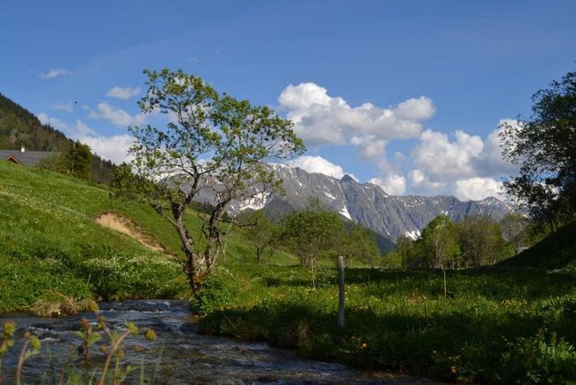Cours d'eau le long d'une vallée d'herbe verte
