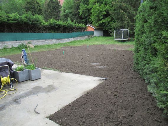 Cour arrière fraîchement labourée avec terrasse en béton, arbres verts, haie et une petite serre au loin