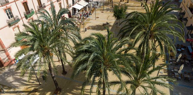 Una vista aérea de una plaza en una ciudad con palmeras, edificios y una cafetería.