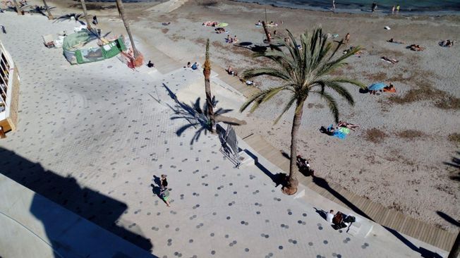 Escena de playa con gente, palmeras y sombras en un día soleado.