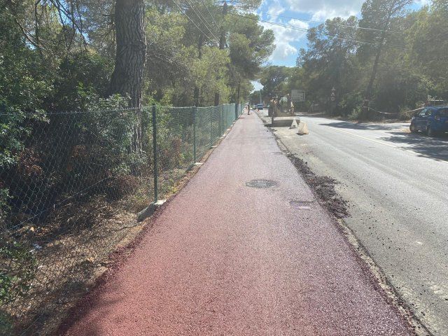 Pasarela pavimentada de color rojo al lado de una carretera, delimitada por una valla y árboles, bajo un cielo parcialmente nublado.