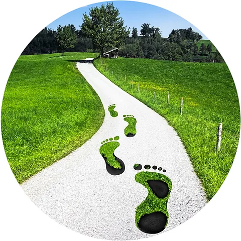 Huellas de hierba en un camino a través de un campo verde que conduce a un árbol y colinas distantes.