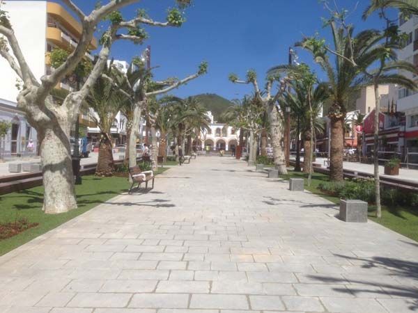 Pasarela peatonal de piedra bordeada de árboles, que conduce a un edificio con arcos, bajo un cielo azul brillante.