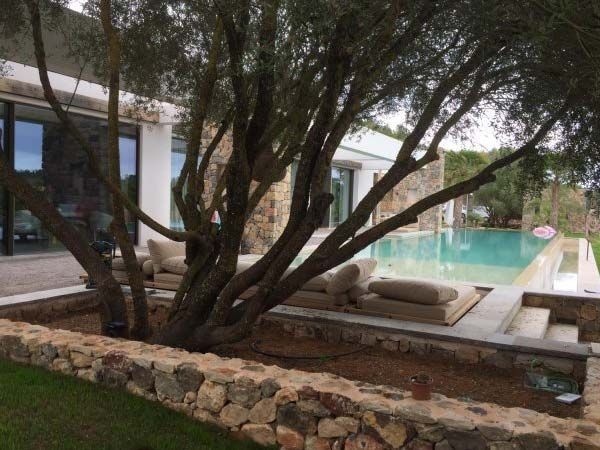 Una casa de lujo con piscina, tumbonas y un gran árbol, con paredes de piedra y césped.
